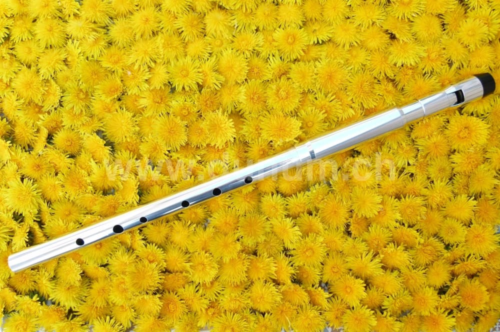 Michael Burke Whistle - Tiefes D Aluminium Viper | Blasinstrumente | Tin Whistle Welt | Dunum.ch