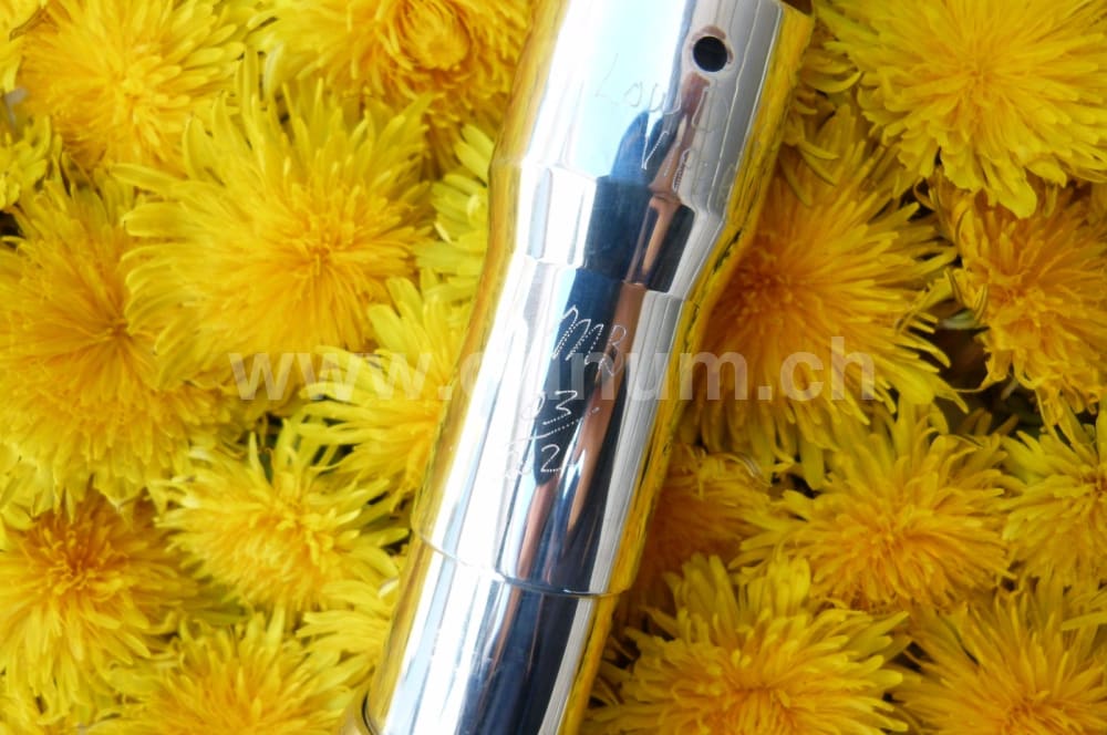 Michael Burke Whistle - Tiefes D Aluminium Viper | Blasinstrumente | Tin Whistle Welt | Dunum.ch