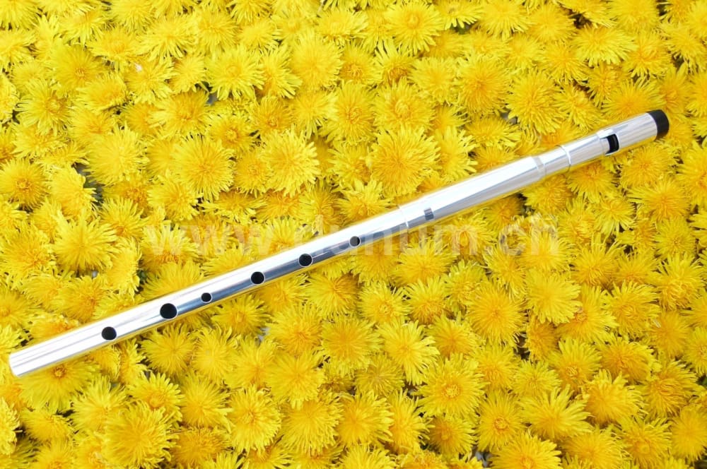 Michael Burke Whistle - Tiefes G Aluminium | Blasinstrumente | Tin Whistle Welt | Dunum.ch