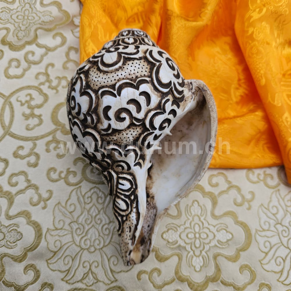 Muschelhorn Avalokiteśvara