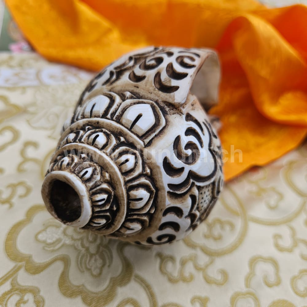 Muschelhorn Medizin Buddha