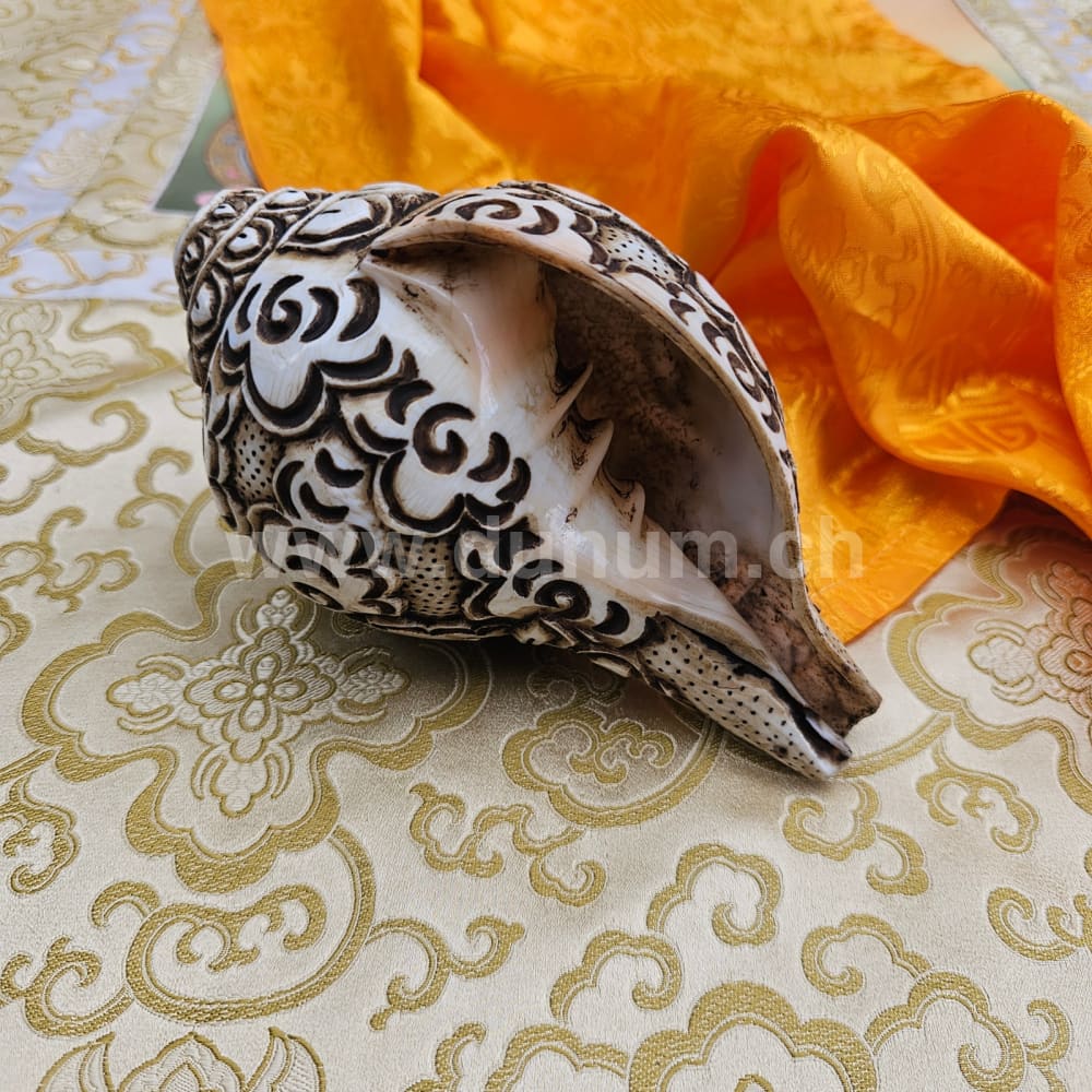 Muschelhorn Medizin Buddha