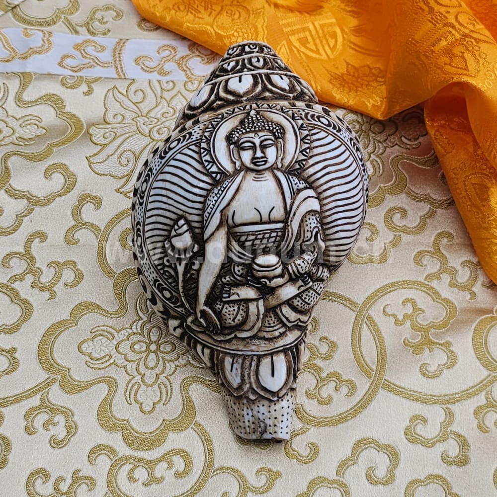 Muschelhorn Medizin Buddha