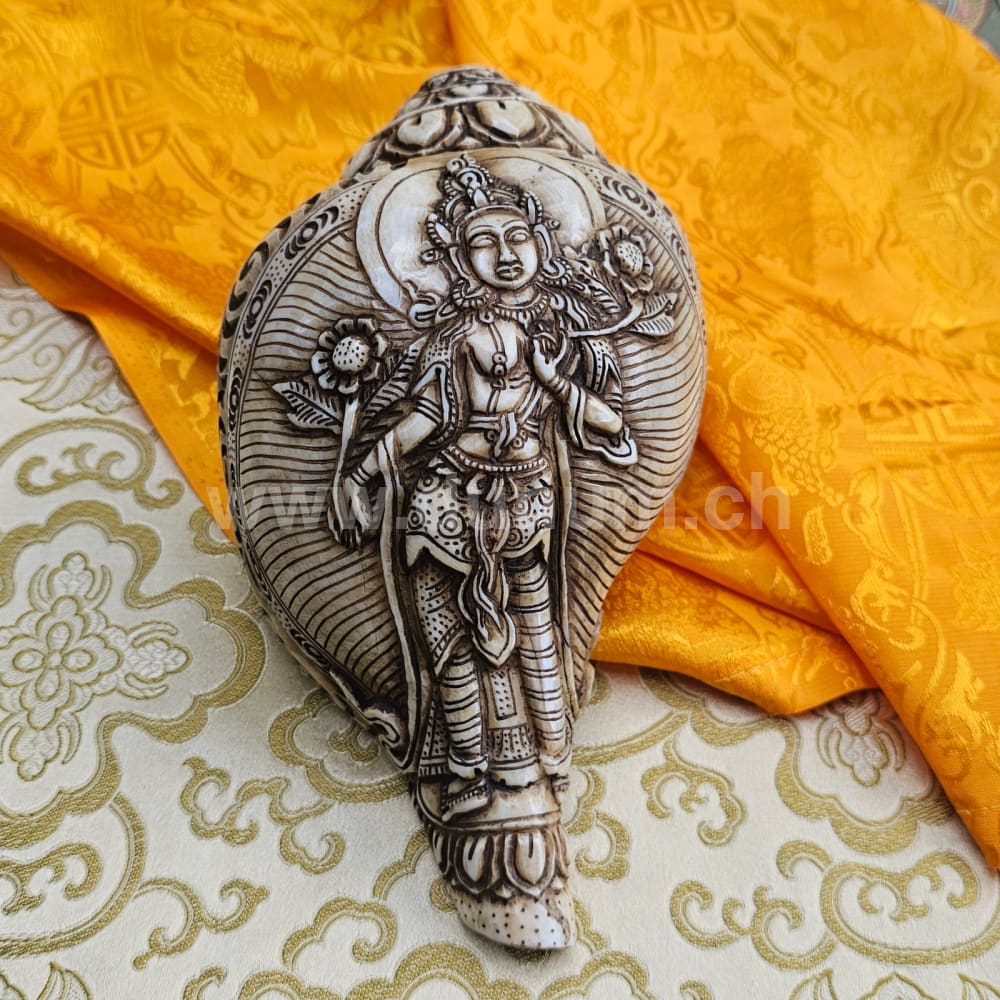 Muschelhorn Padmapāṇi Lokeśvara