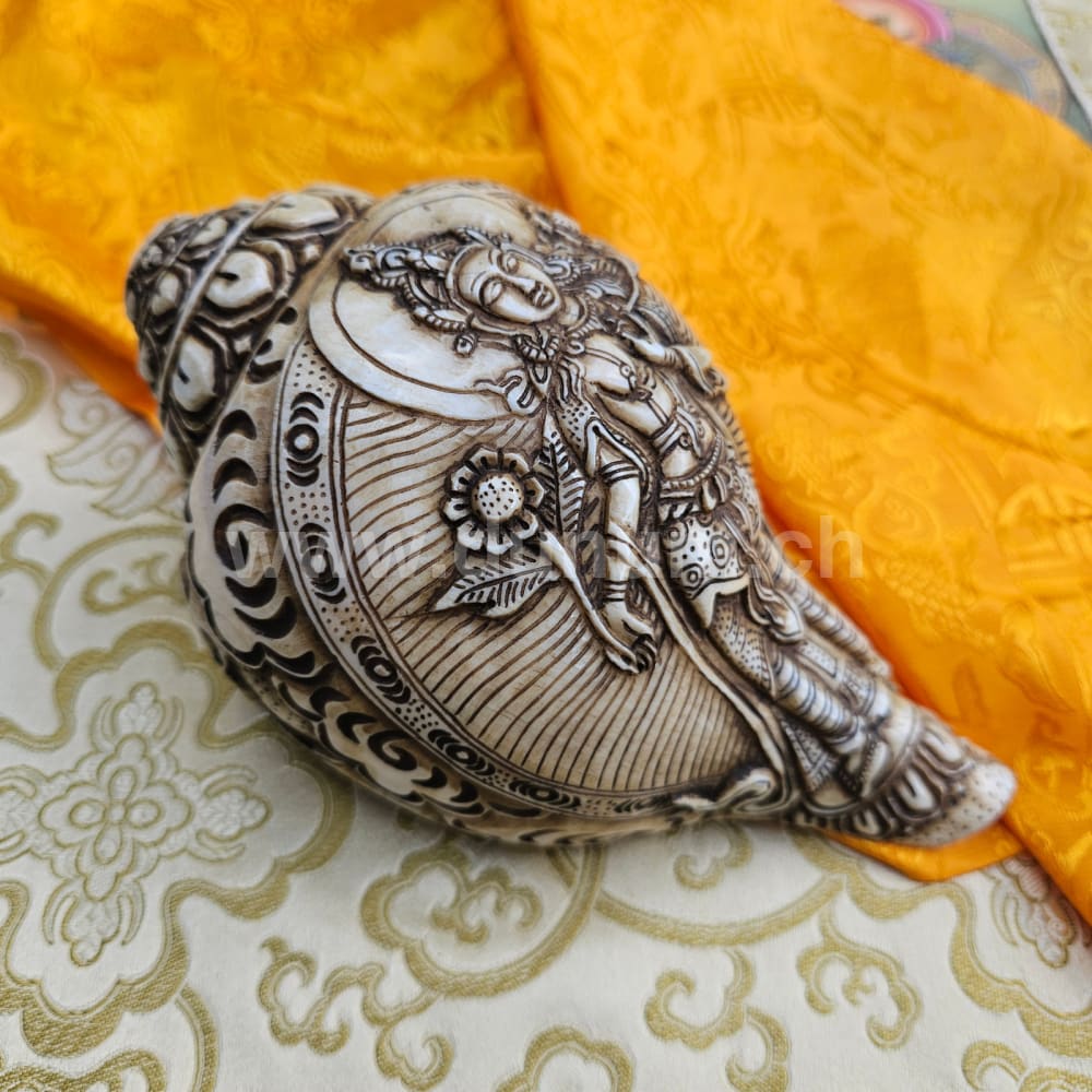 Muschelhorn Padmapāṇi Lokeśvara