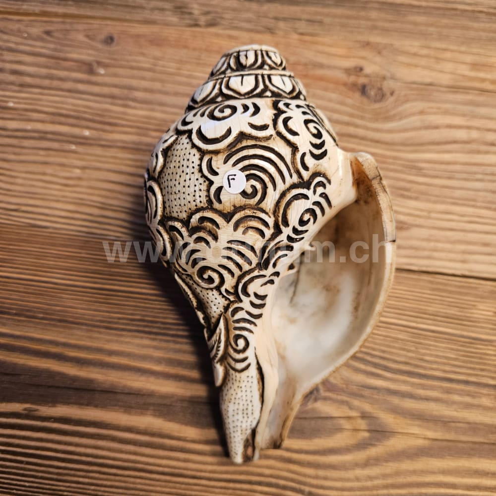 Muschelhorn Rad des Dharma