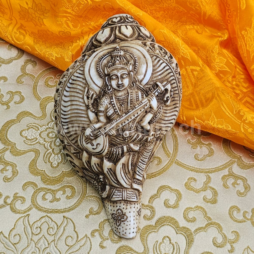 Muschelhorn Saraswati
