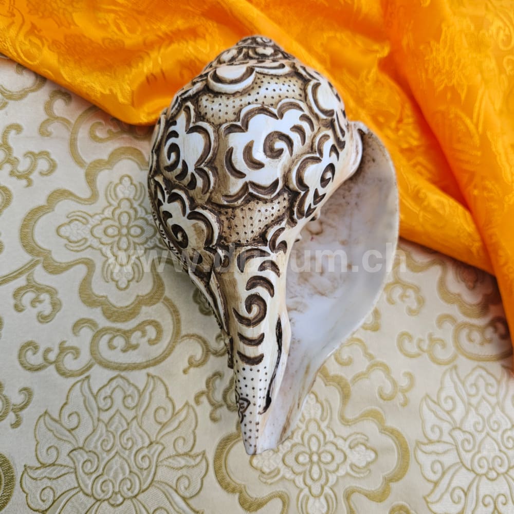 Muschelhorn Saraswati