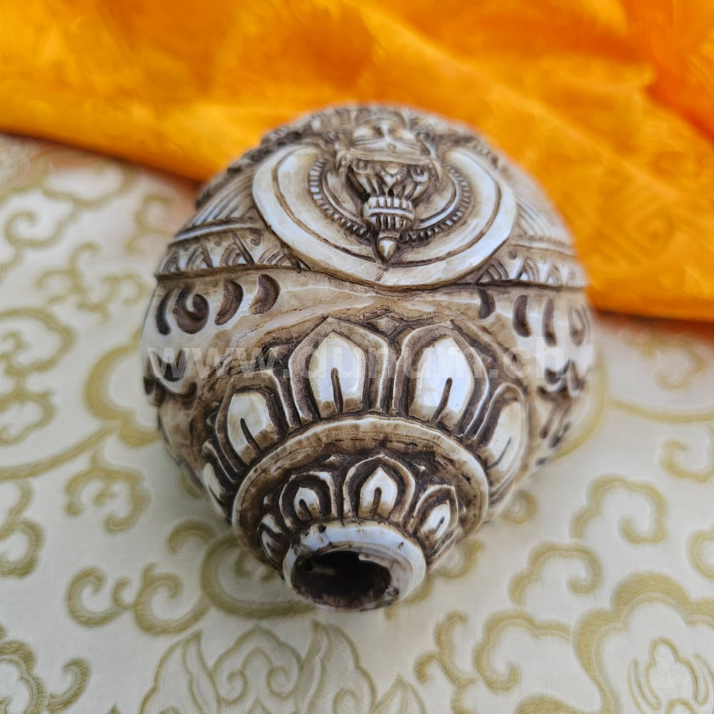 Muschelhorn Saraswati