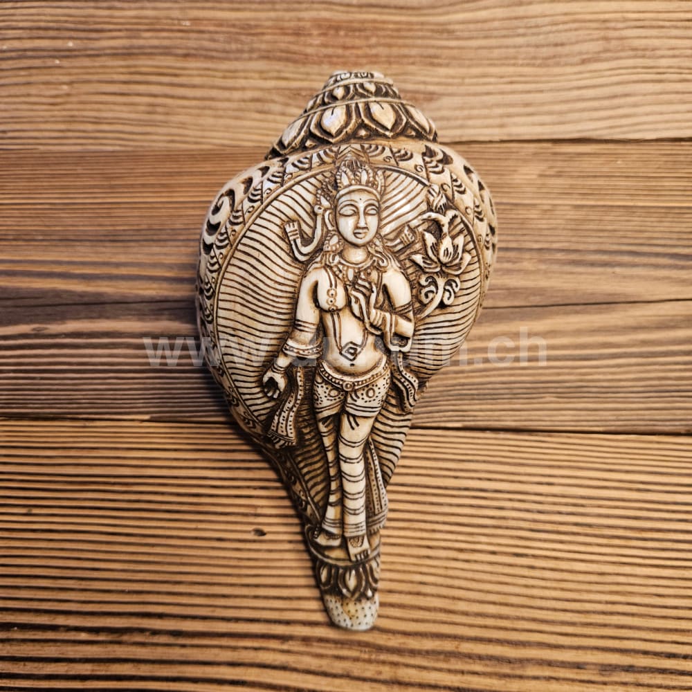 Muschelhorn Tara Devi