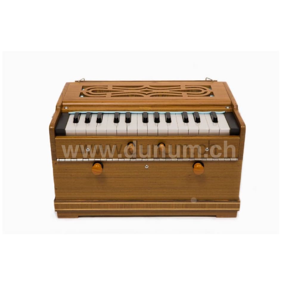 Paloma Companion Recon