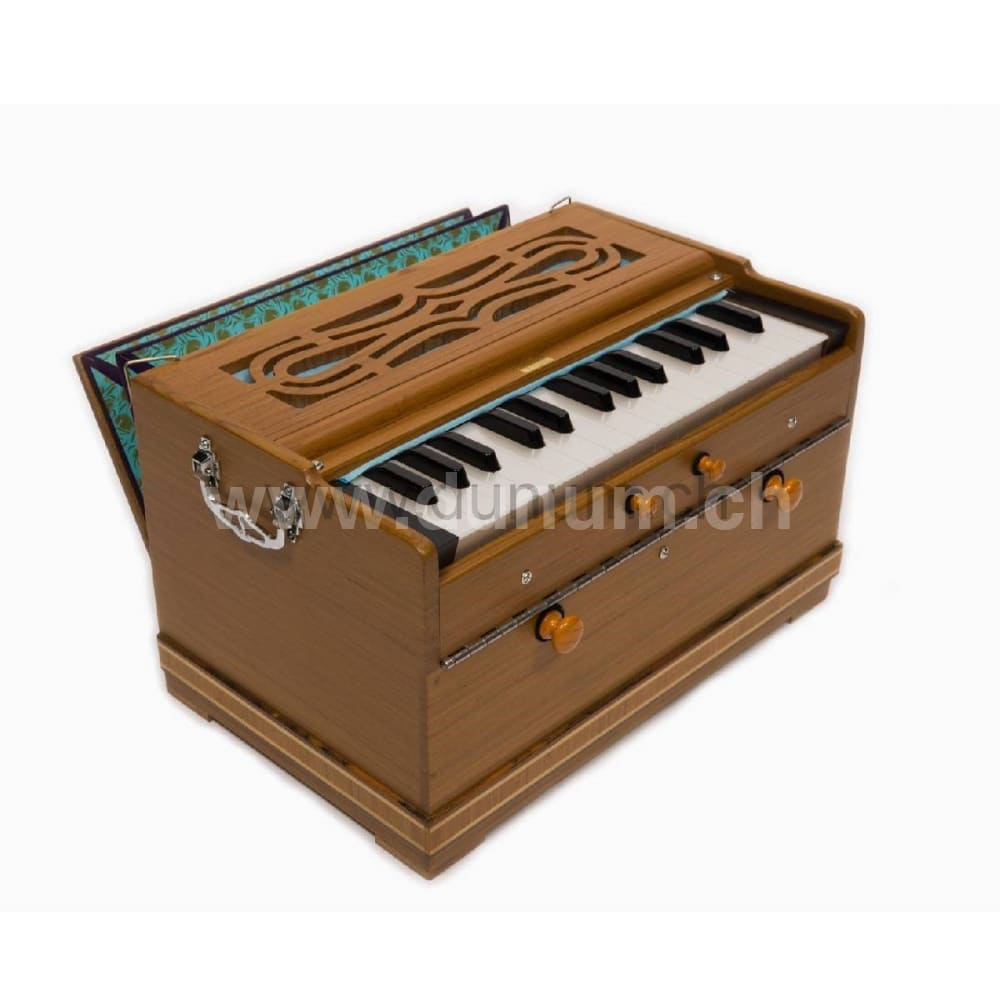 Paloma Companion Recon