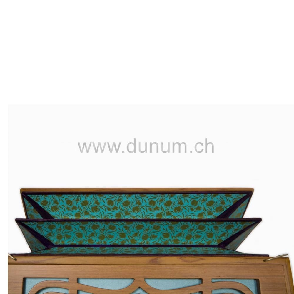 Paloma Companion Recon