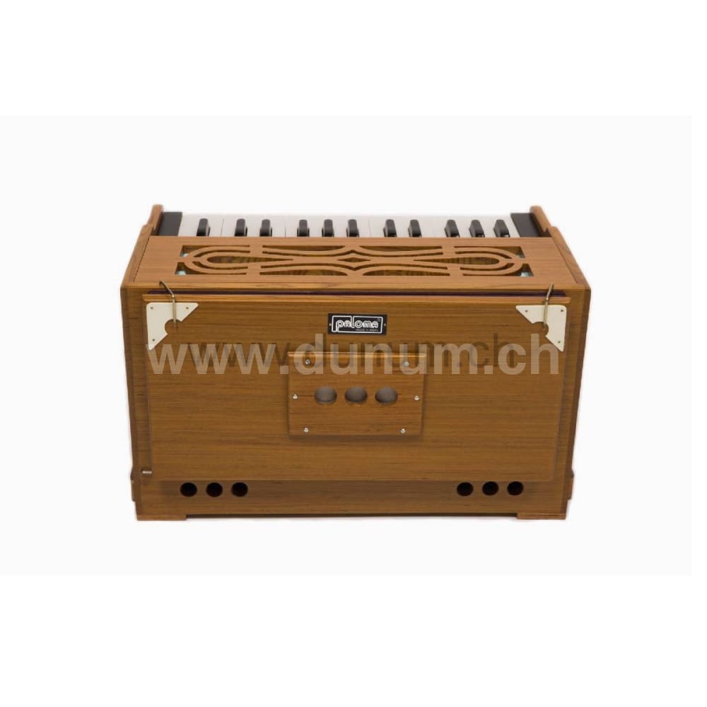 Paloma Companion Recon