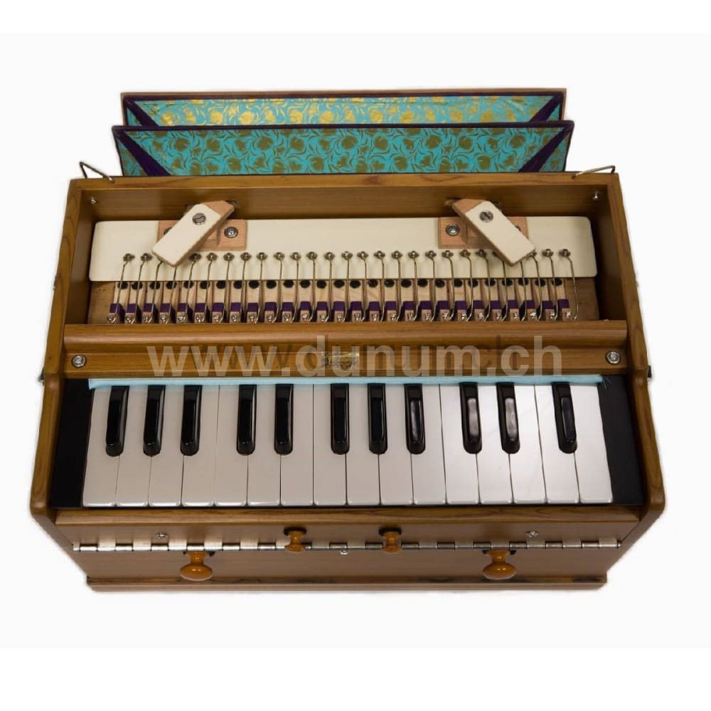 Paloma Companion Recon