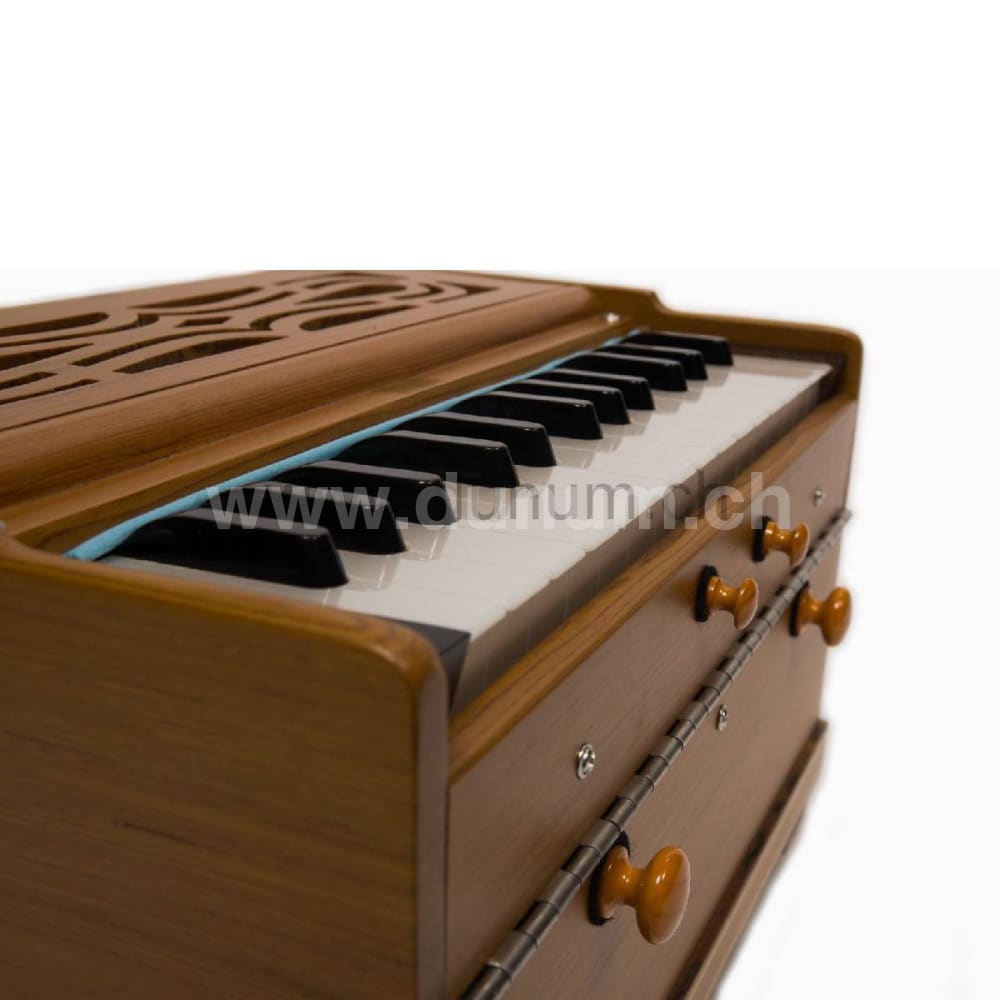 Paloma Companion Recon