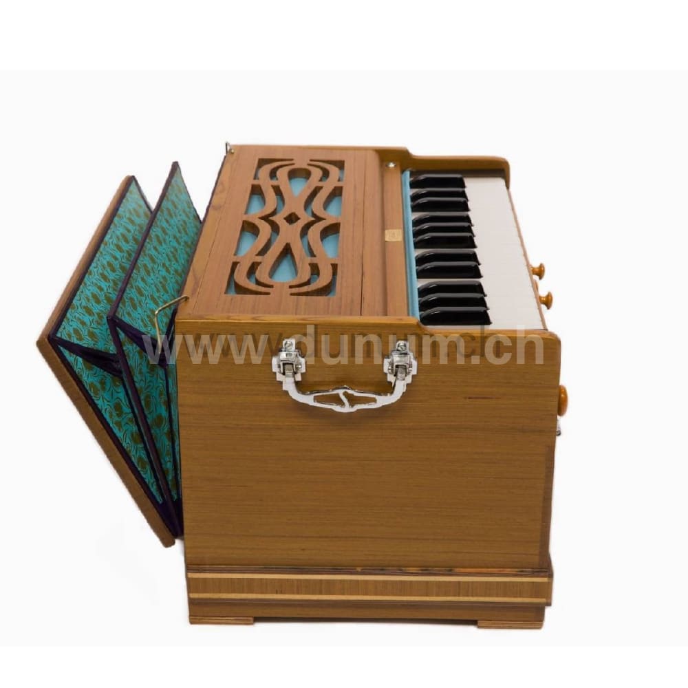 Paloma Companion Recon