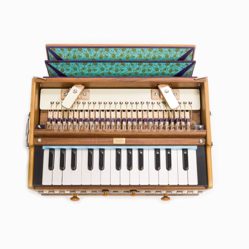 Paloma Companion Teak
