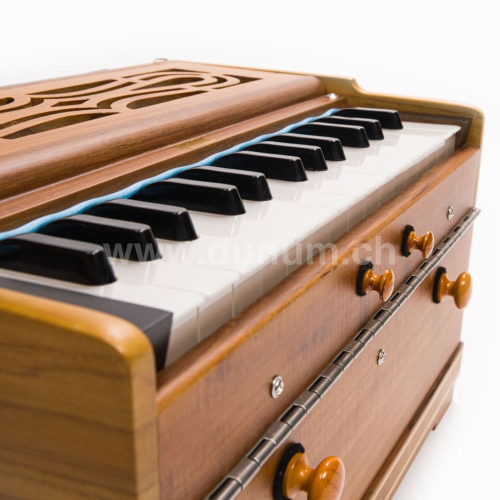 Paloma Companion Teak
