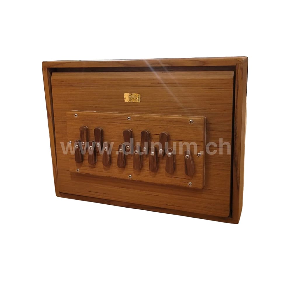 Paloma Shrutibox in C - Recon