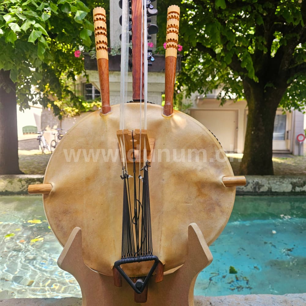 Profi Kora - mit Halbtönen - Mandingue Stimmung