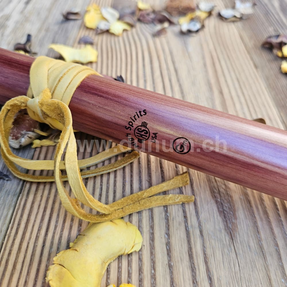 Red Tail Hawk G mit Türkis