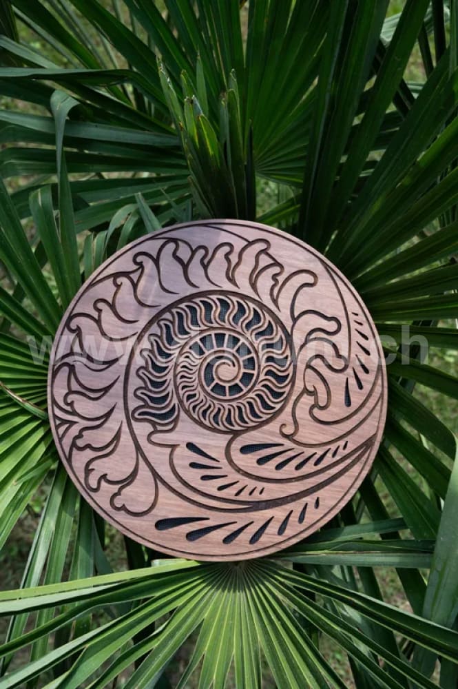 Raindisk 25 cm - Ocean Sound - Fibbonaci inspired carving