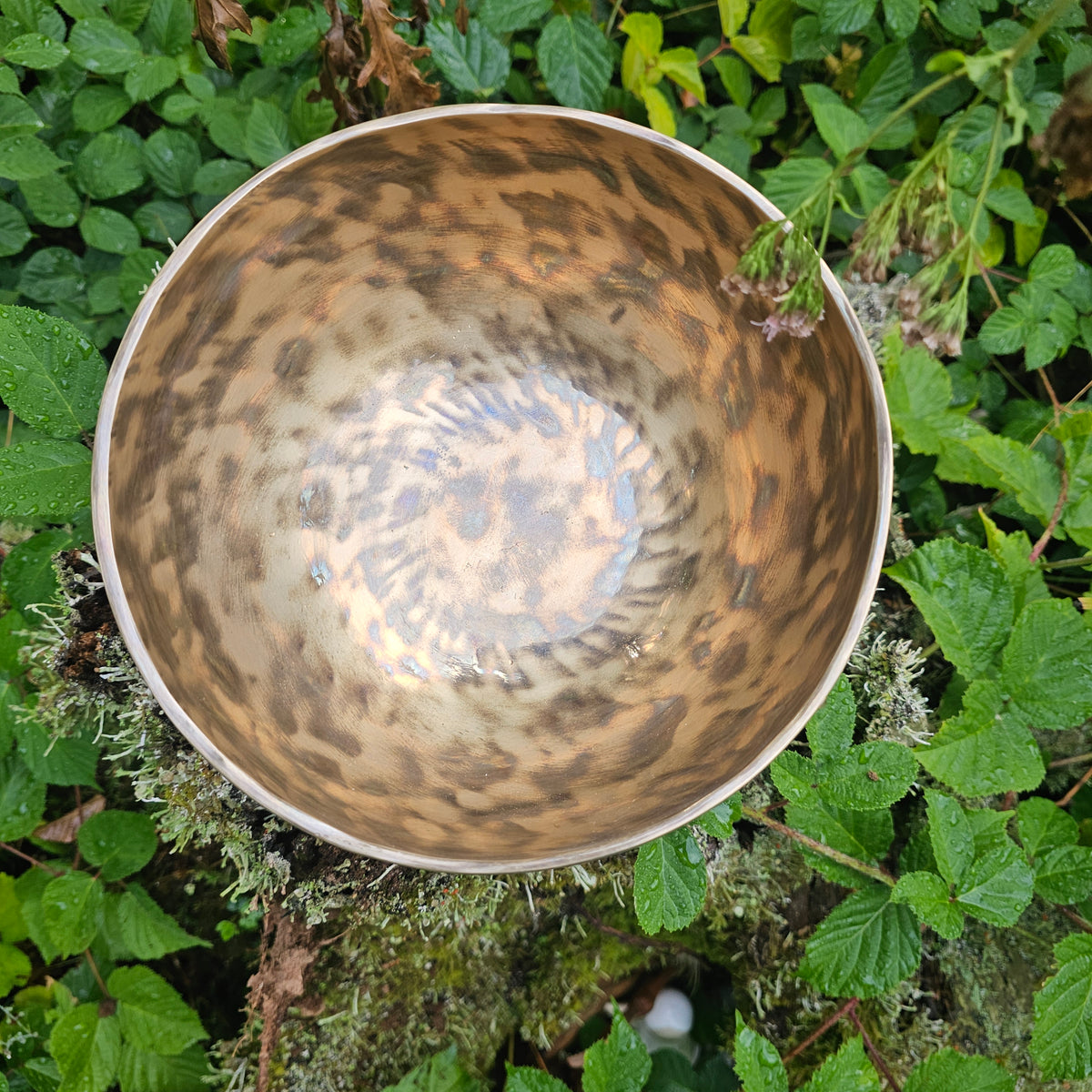 Vollmond Klangschale | ø 21 cm | Solar Plexus