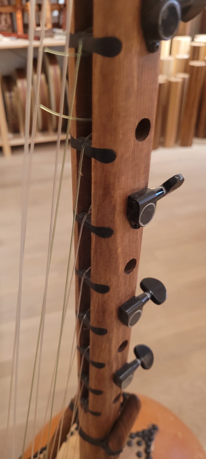 Kamelen Goni 12 strings with pick up and bag