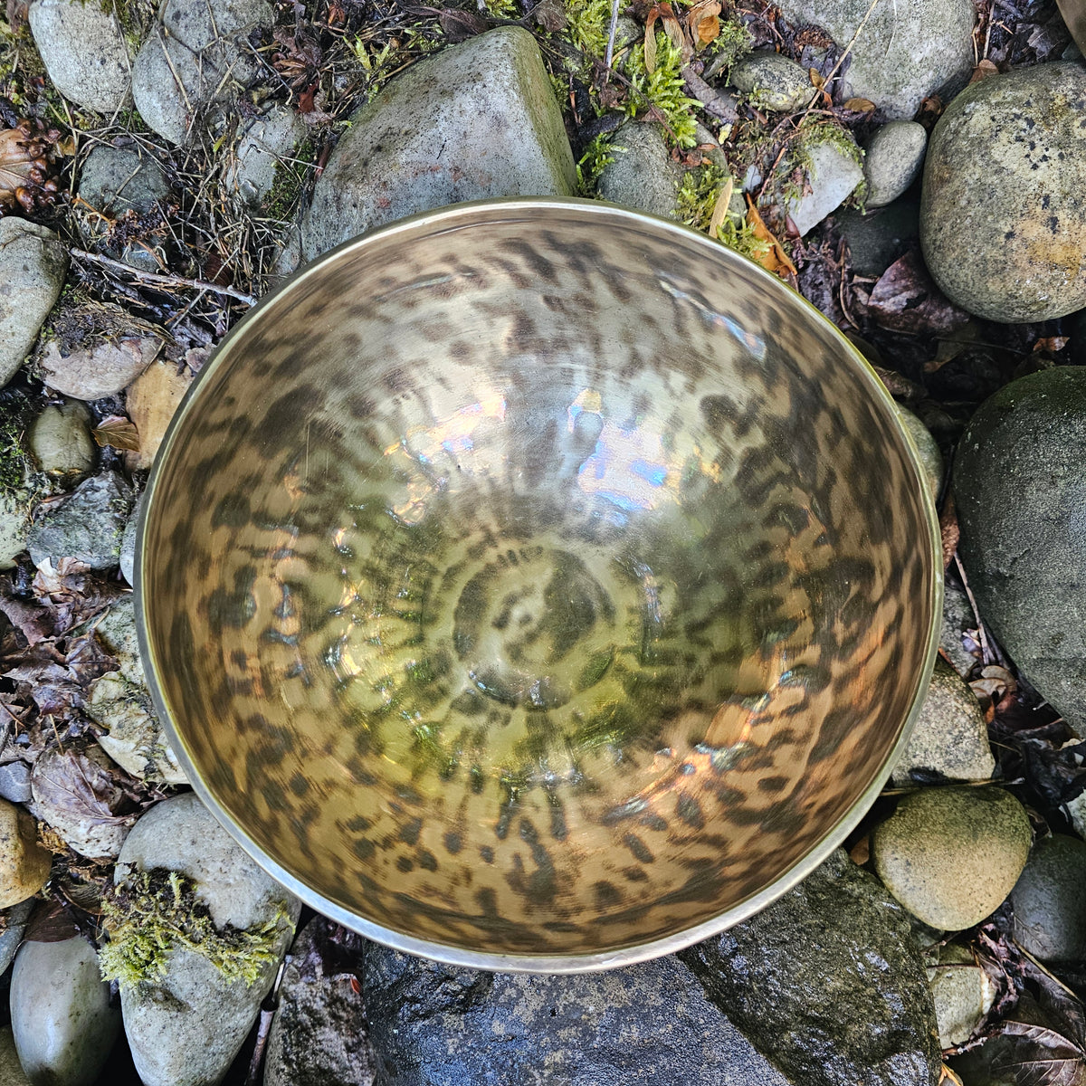 Vollmond Klangschale | ø 23 cm | Sakralchakra