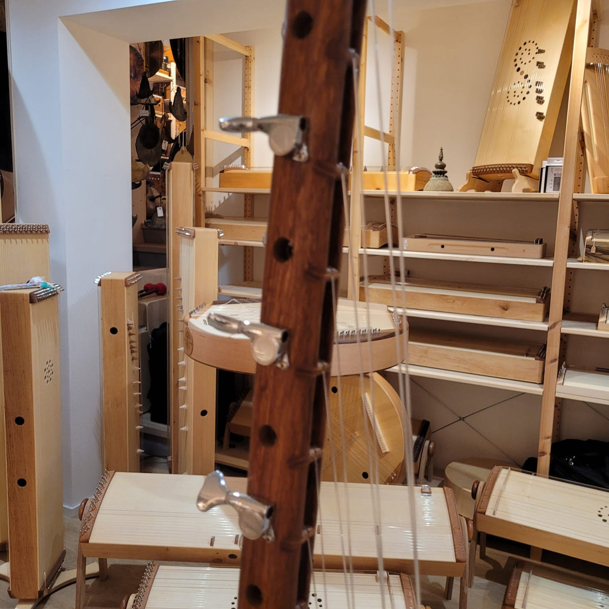 Kamelen Goni 12 cordes et housse