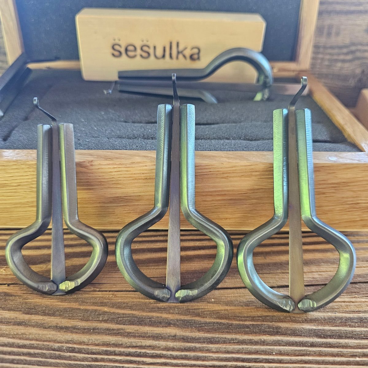 Rabach Maultrommel von S̈es̈ulka, Tschechien