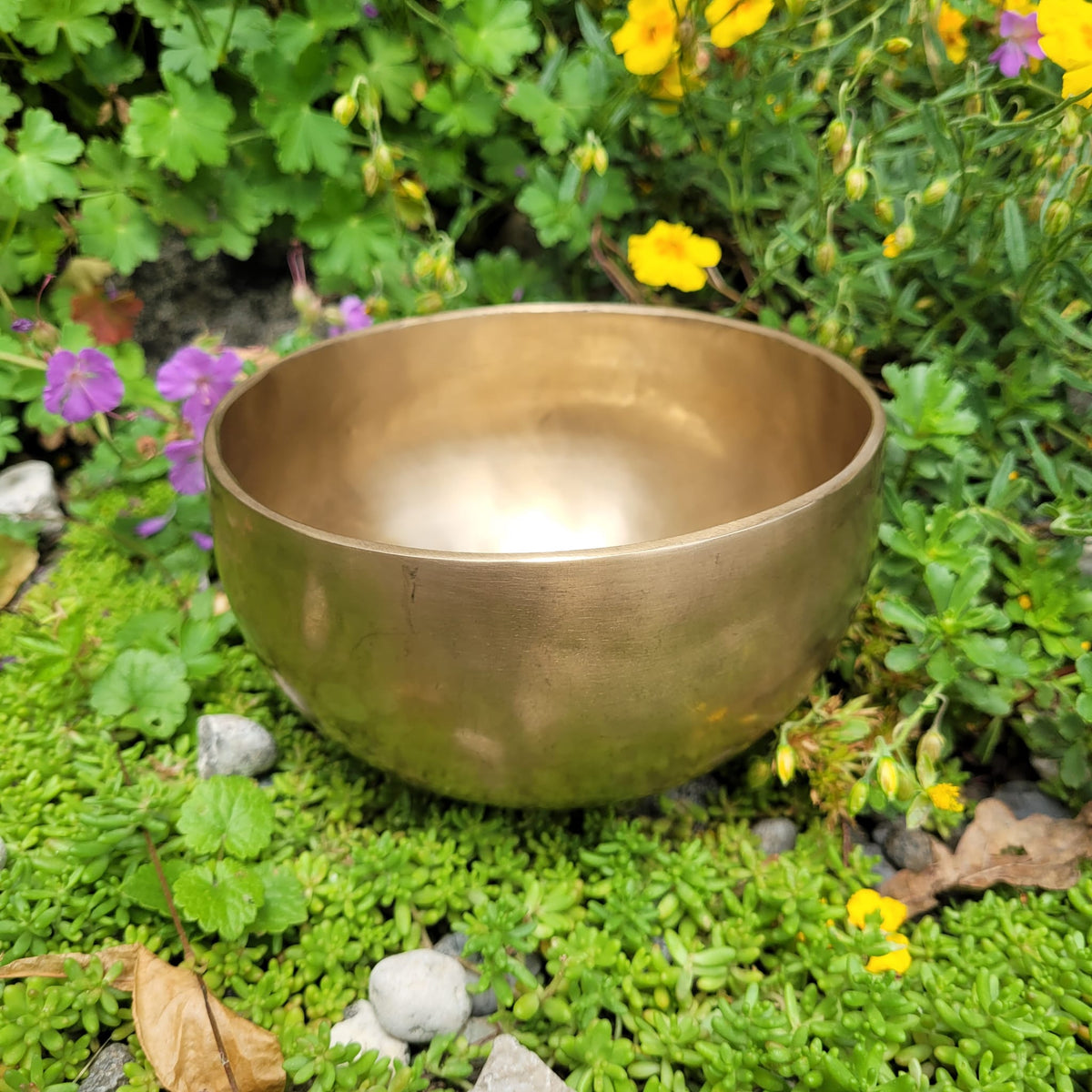 Bol chantant ø 14 cm | Son : F en 432 Hz | Chakra du cœur