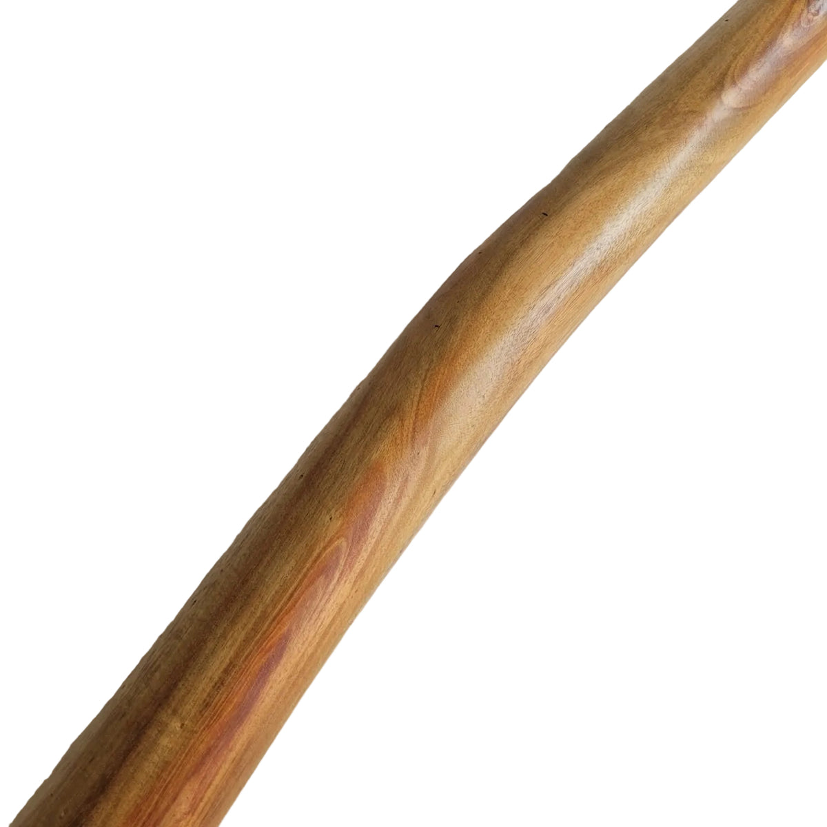 Didgeridoo Eukalyptus mit Tasche in F 432 Hz