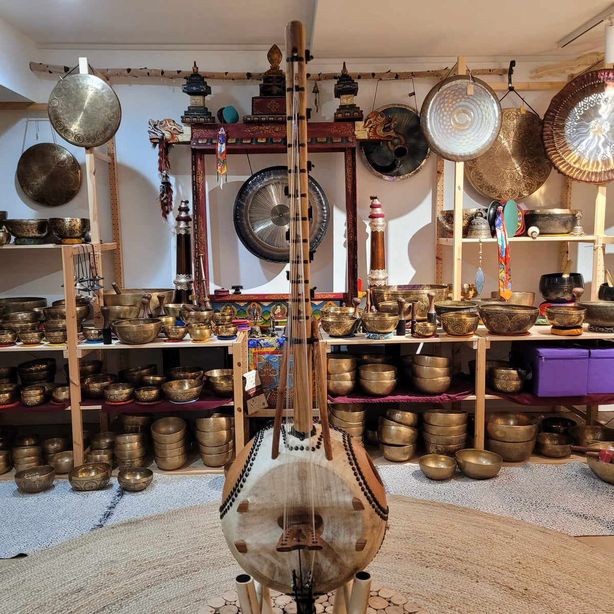 Kamelen Goni 12-String with Amplifier and Case