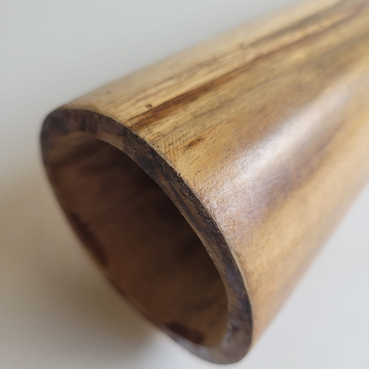 Didgeridoo en eucalyptus avec housse, en mi (440 Hz)