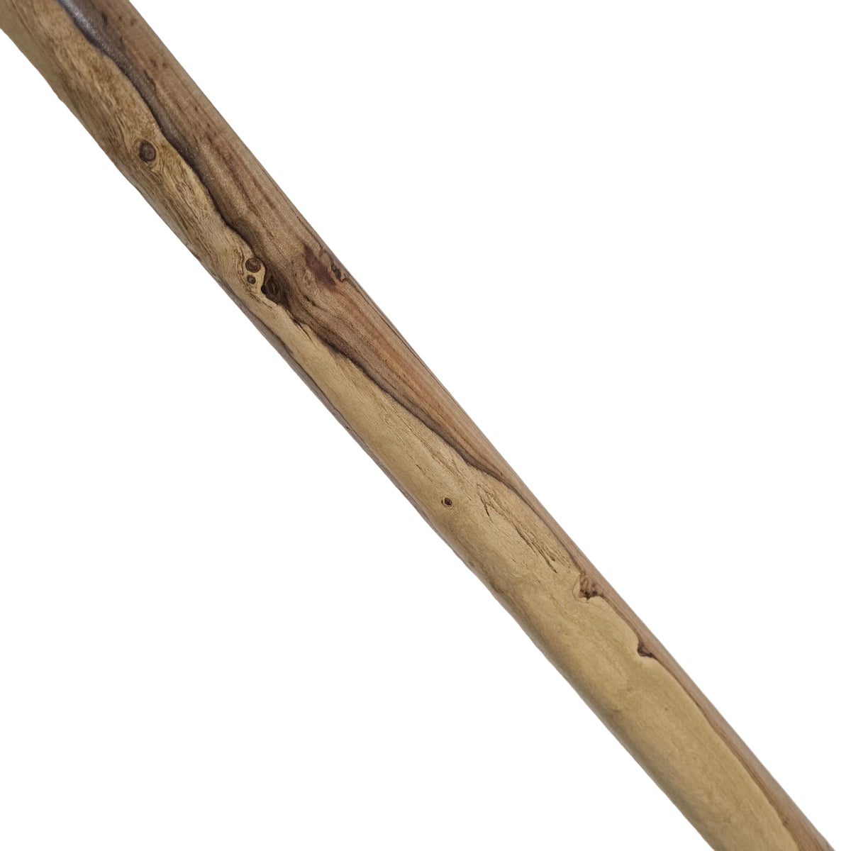 Didge Proline Hibiscus D