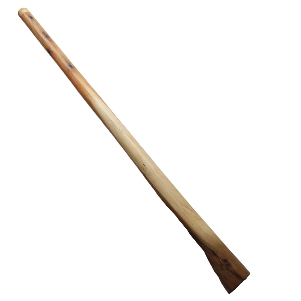 Didgeridoo en eucalyptus avec étui E, 440 Hz