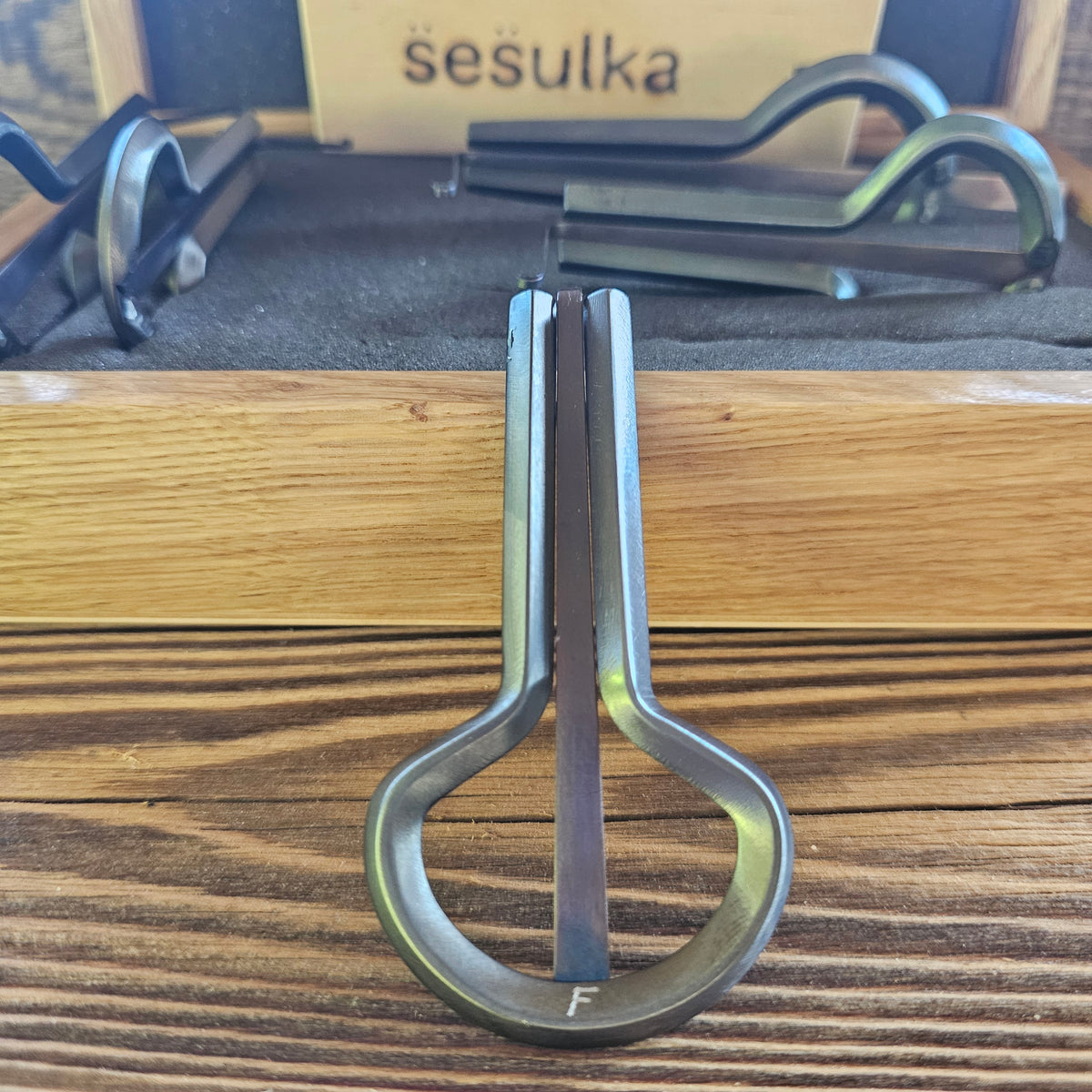 Bass Rabach Maultrommel von S̈es̈ulka, Tschechien