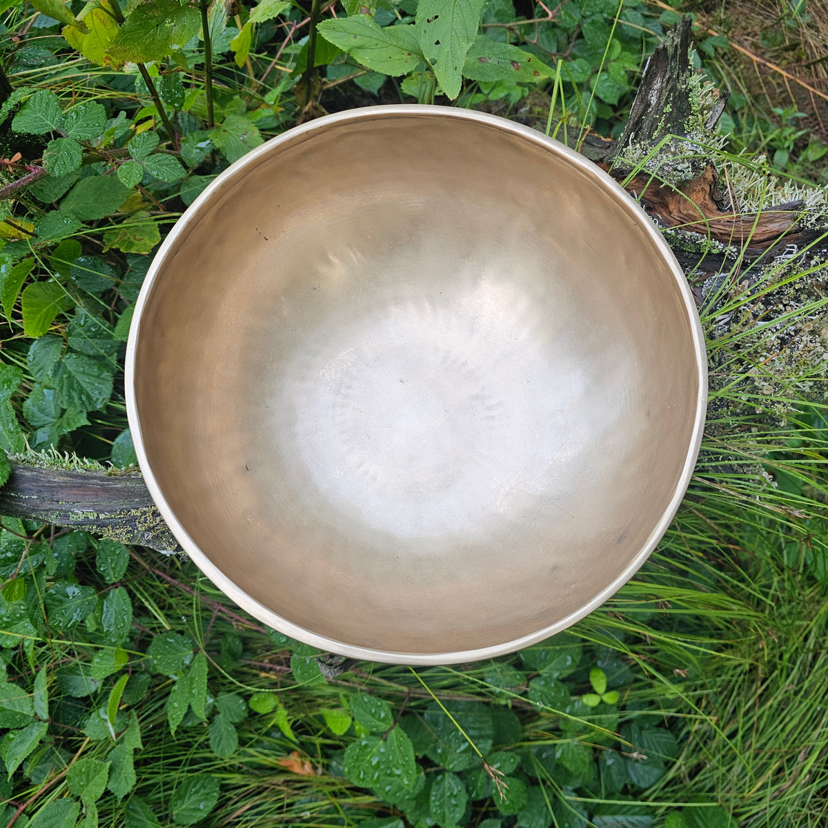 Klangschale ø 25 cm | Ton: ~ C | Sakralchakra