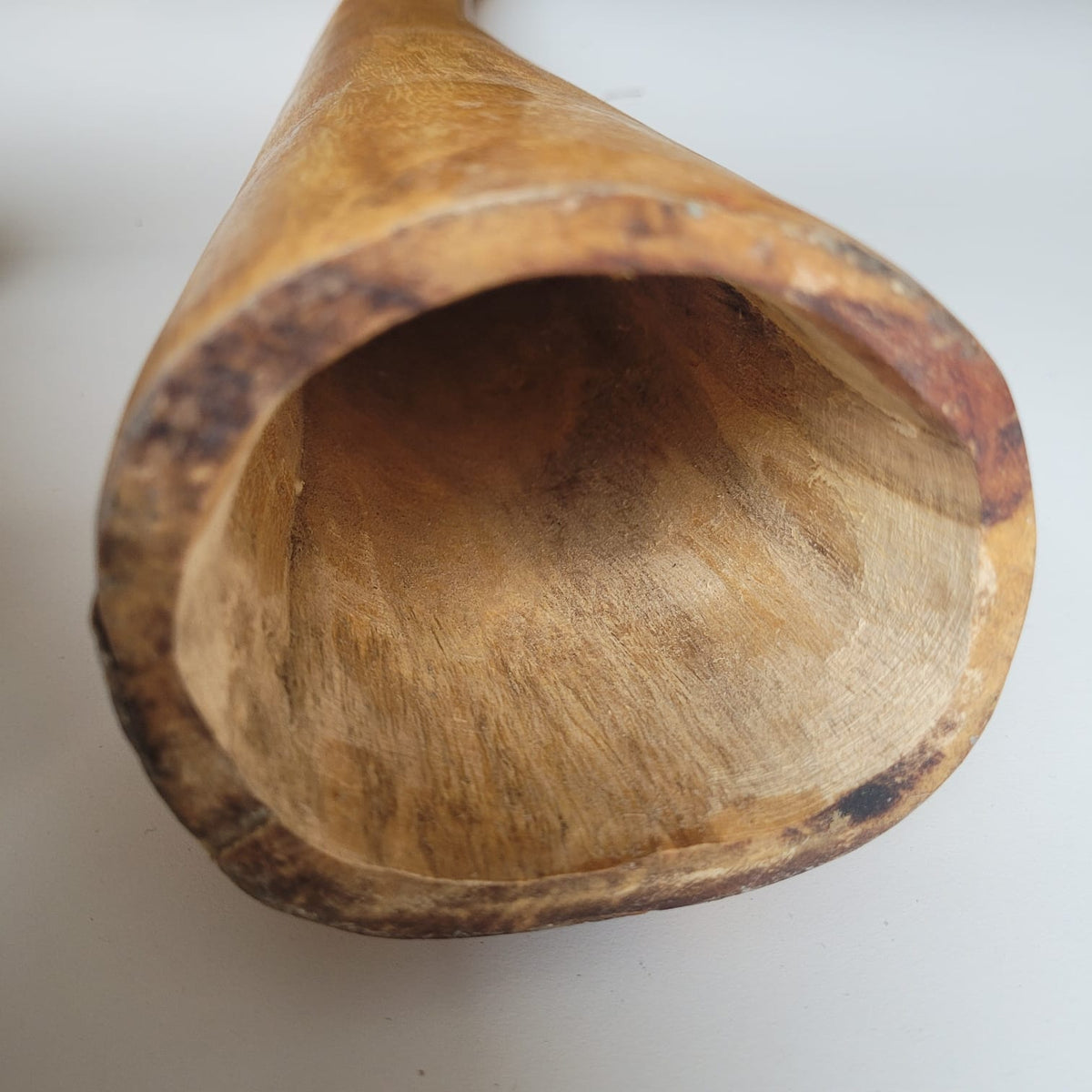 Didgeridoo en eucalyptus avec étui E, 440 Hz