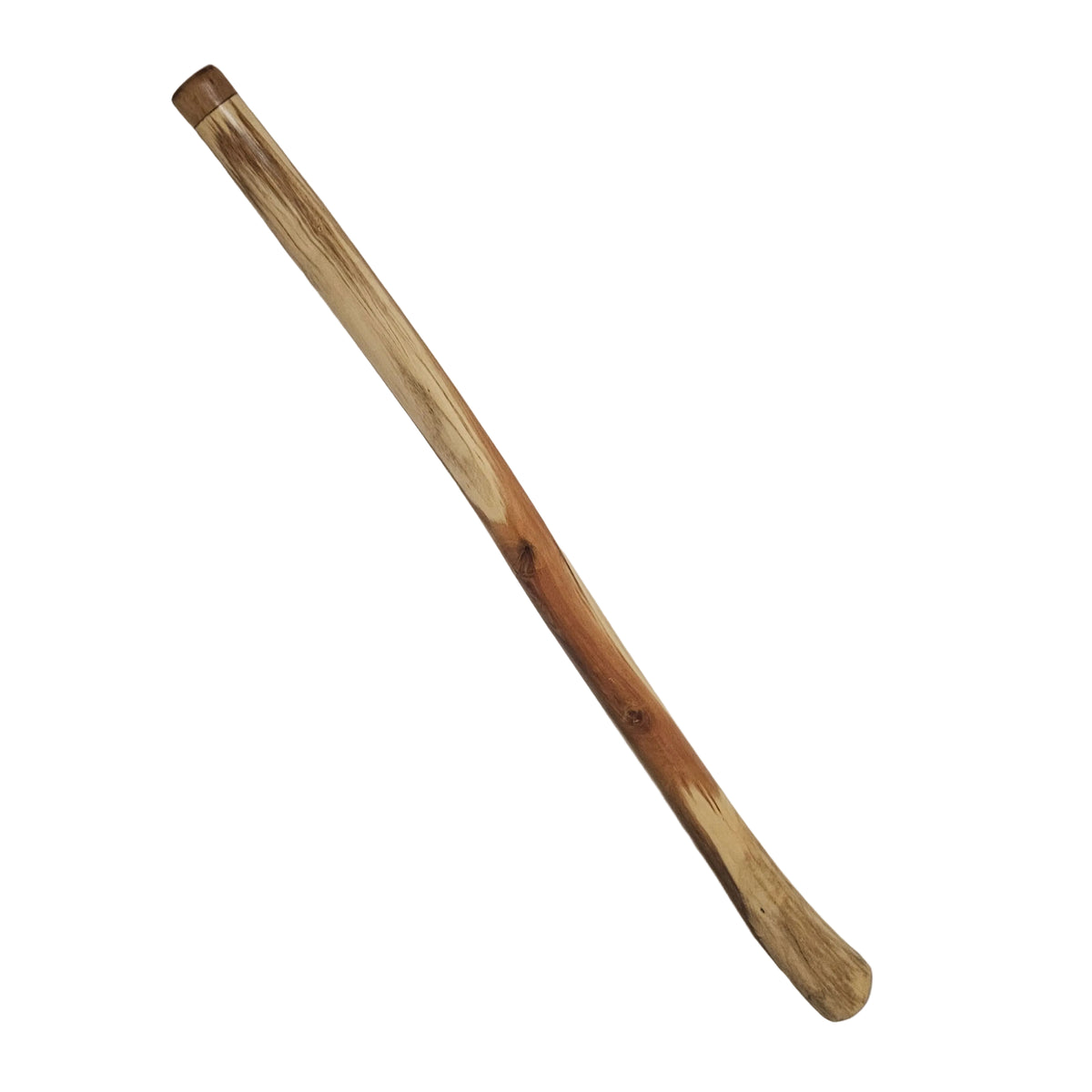 Didgeridoo eucalyptus avec sac