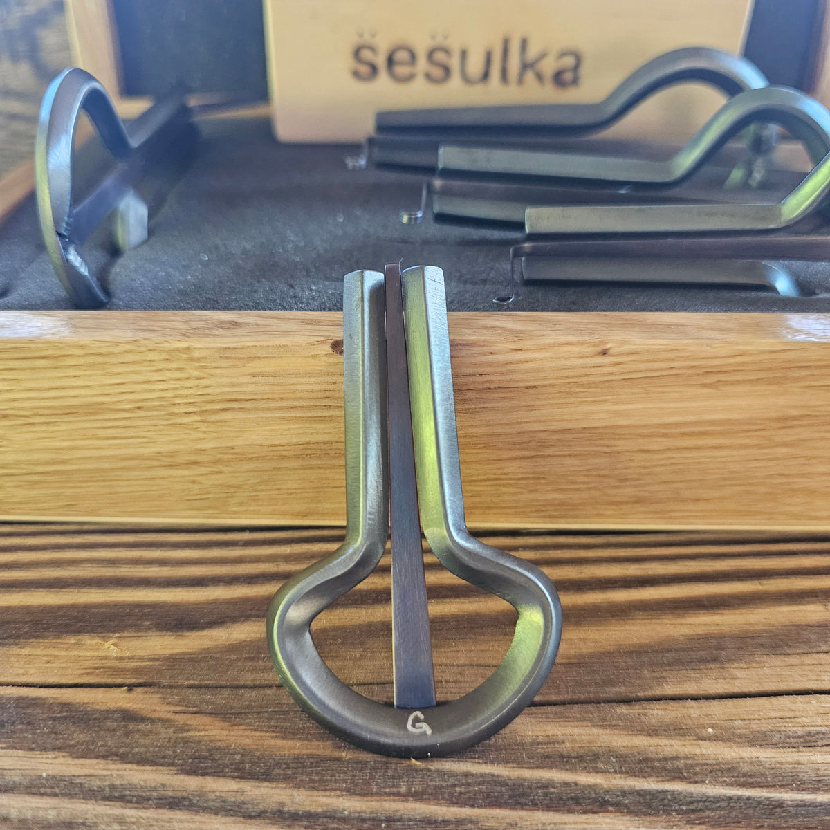 Rabach Maultrommel von S̈es̈ulka, Tschechien