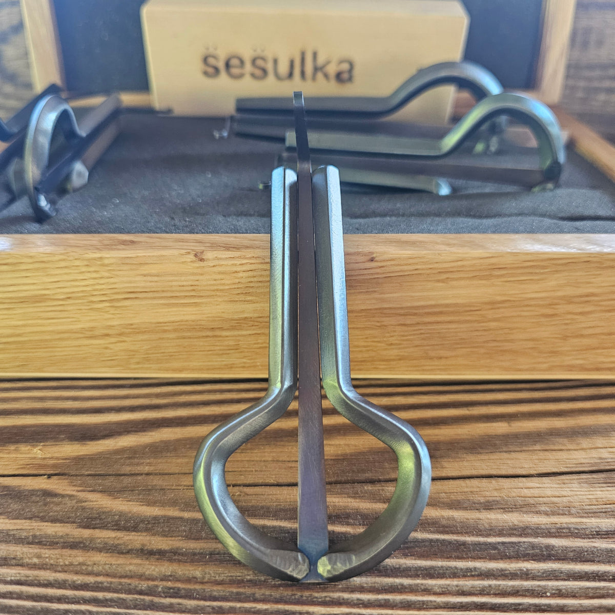 Bass Rabach Maultrommel von S̈es̈ulka, Tschechien