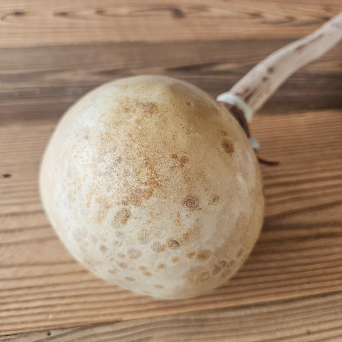 Gourd Rattel | Kalebassenrassel der Lakota