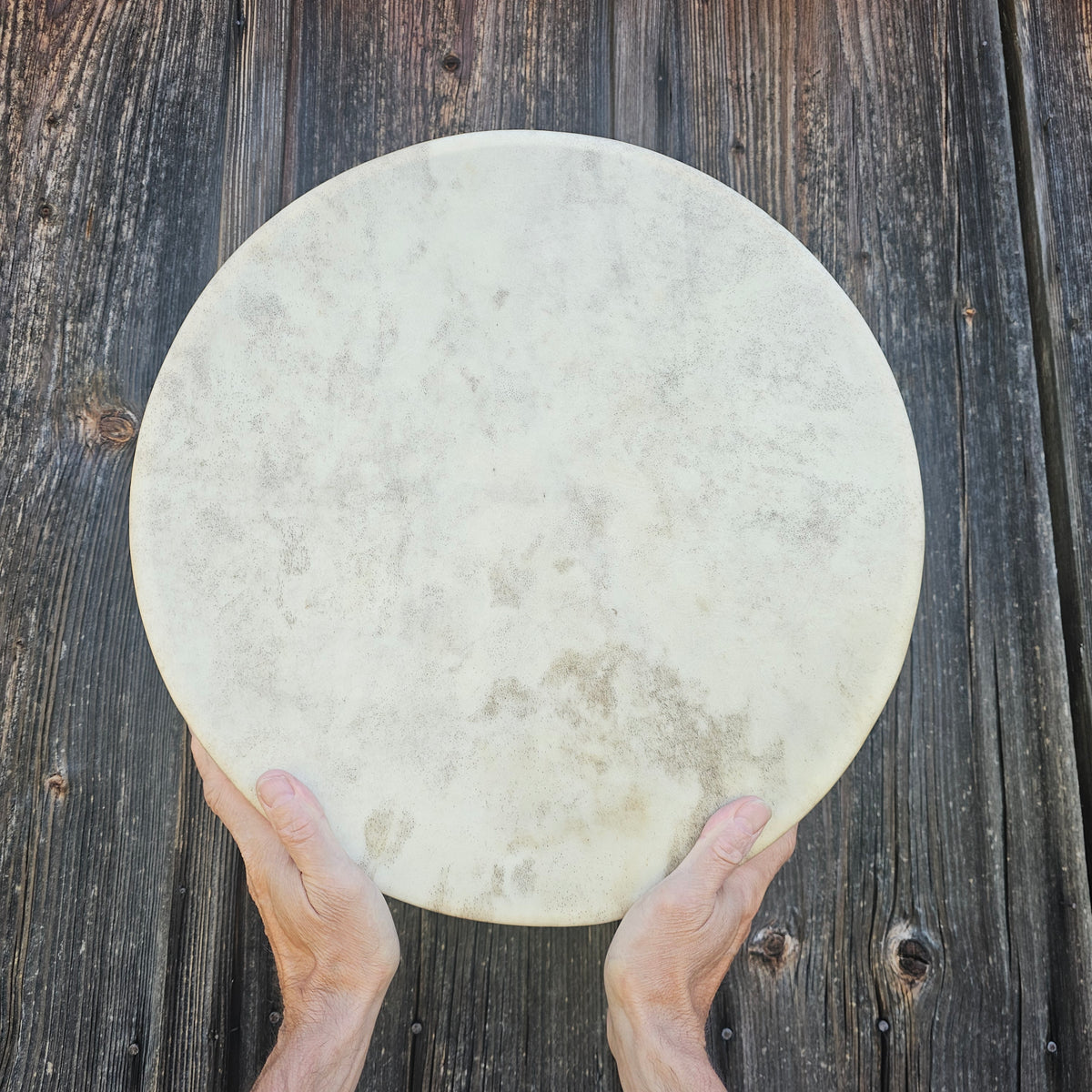 Vollmond Schamanentrommel ø 40 cm - Dammhirsch