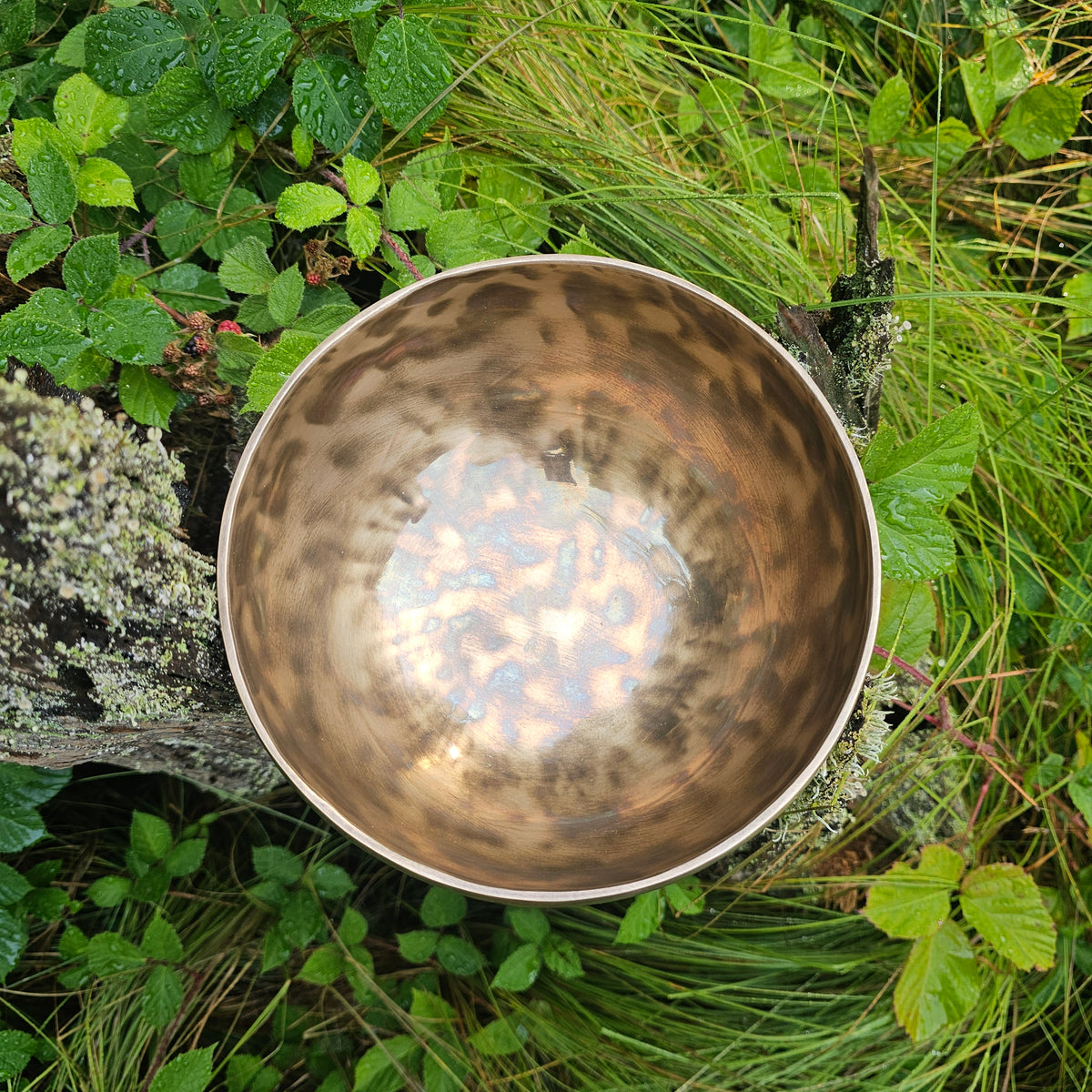 Vollmond Klangschale | ø 20 cm | Herzchakra