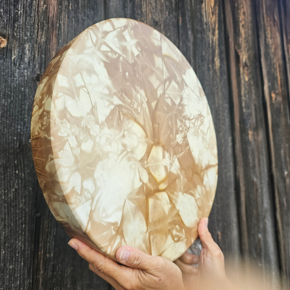 Full Moon Shaman Drum, 40 cm diameter | Goat | Stretchable