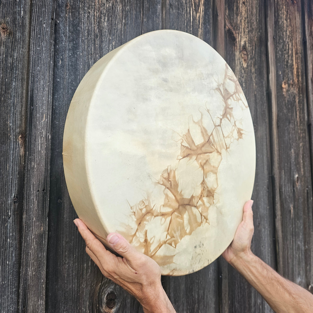 Tambour chamanique « Pleine Lune », ø 46 cm | Cerf | Bouleau