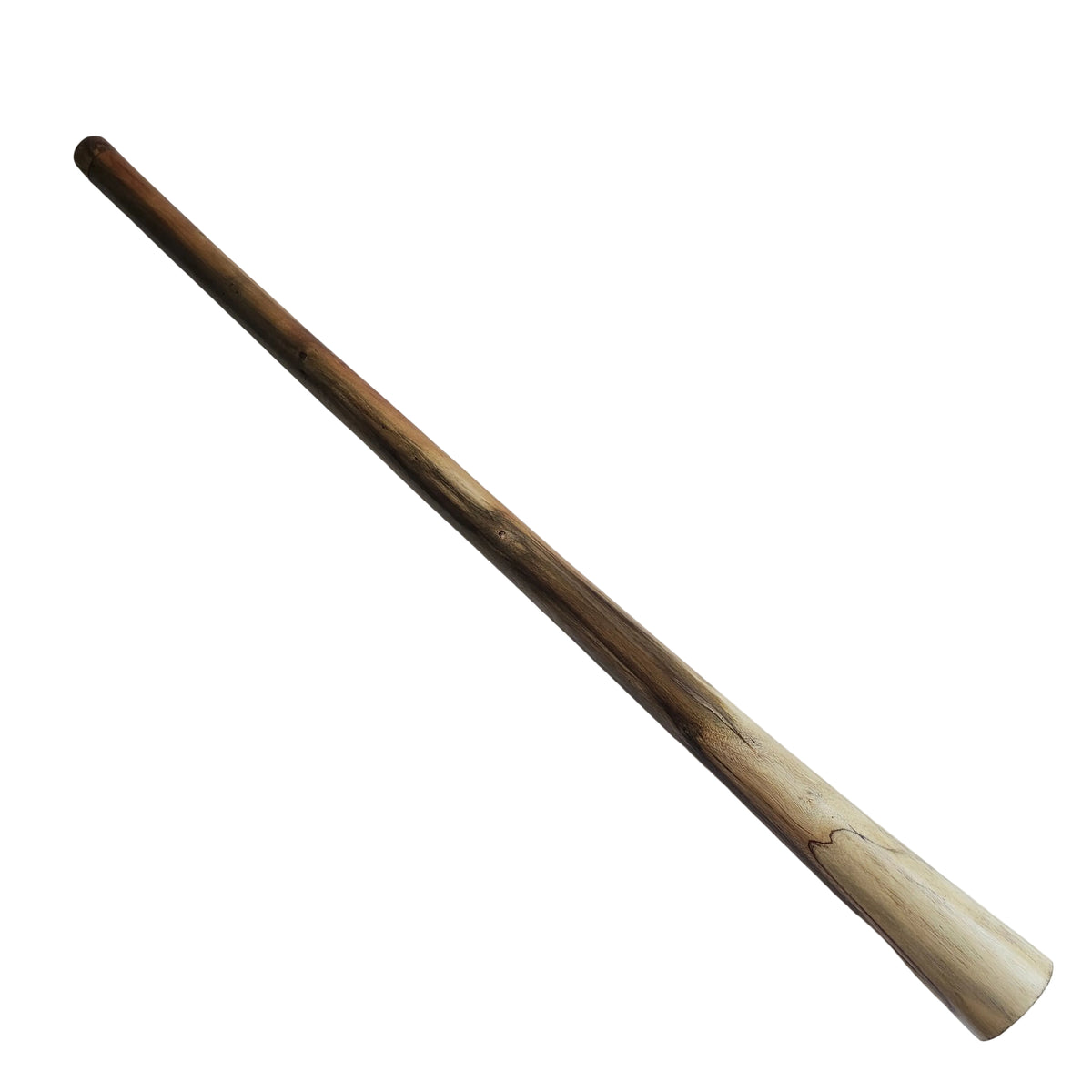 Eucalyptus Didgeridoo with Case E in 440 Hz